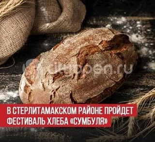 Хлебный фестиваль КОЛОСсального района «Сумбуля»