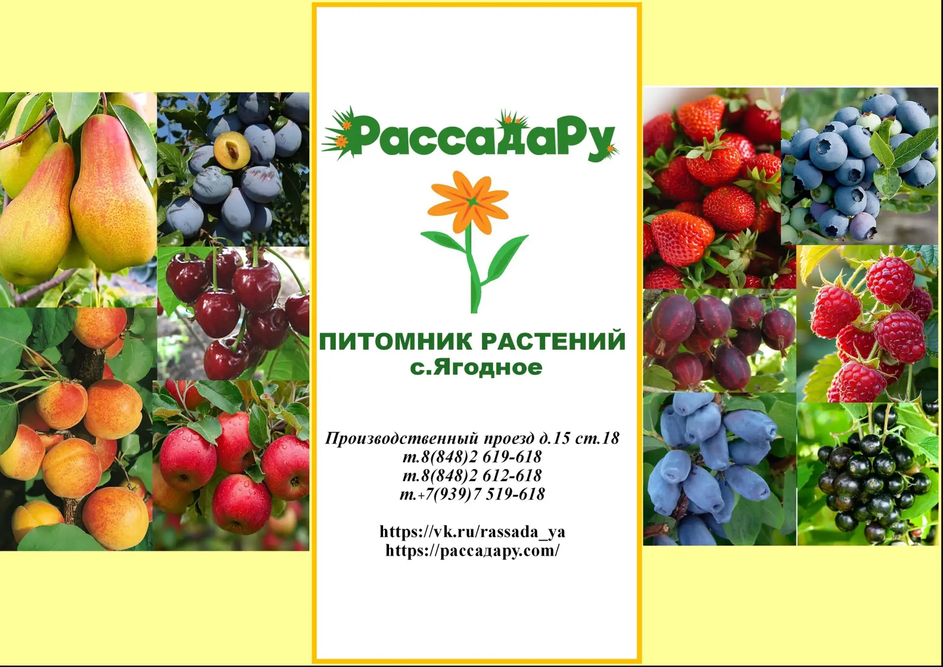 Ждём Вас в нашем питомнике!