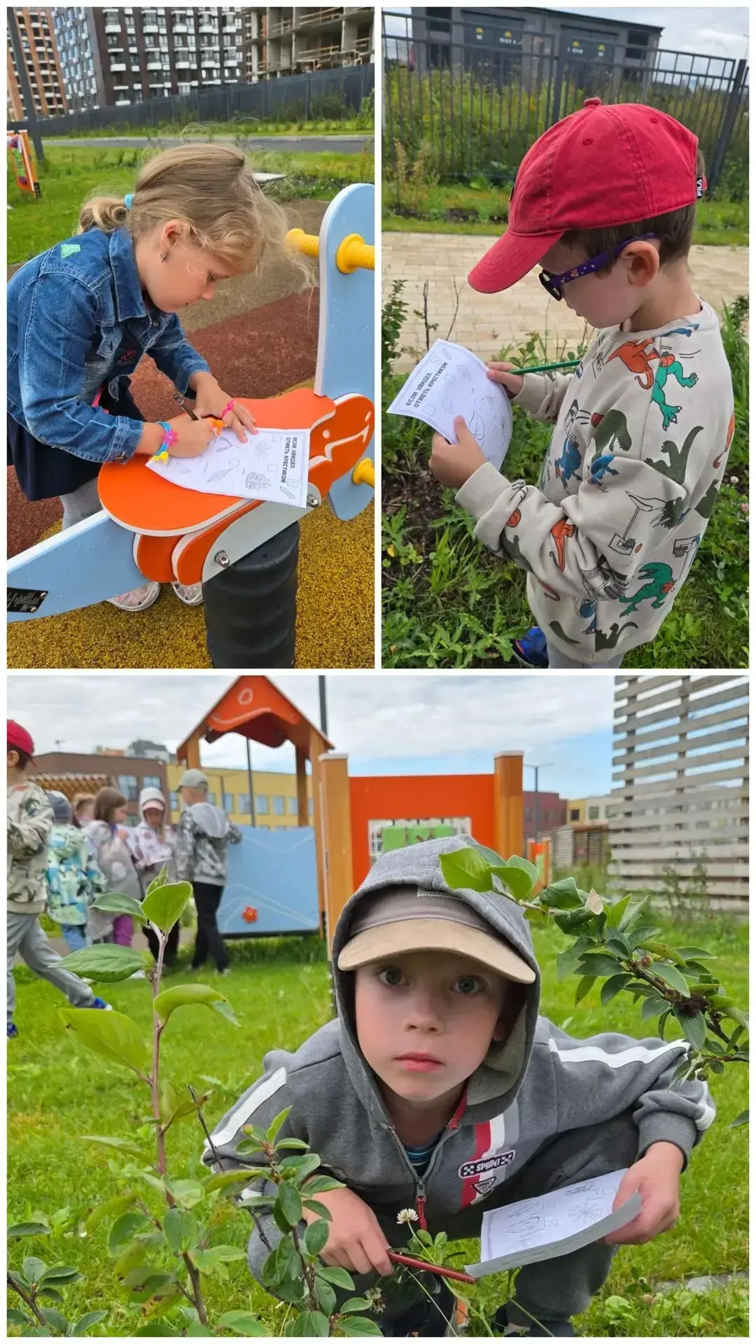 Лето — время открытий юных исследователей! 🌿✨В 4-м корпусе МОУ «Новосельский центр» пр...