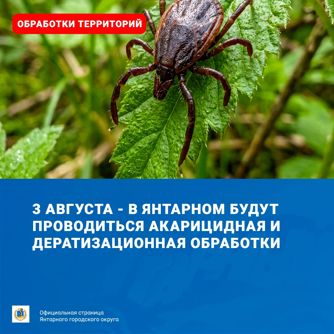 Уважаемые жители Янтарного городского округа!