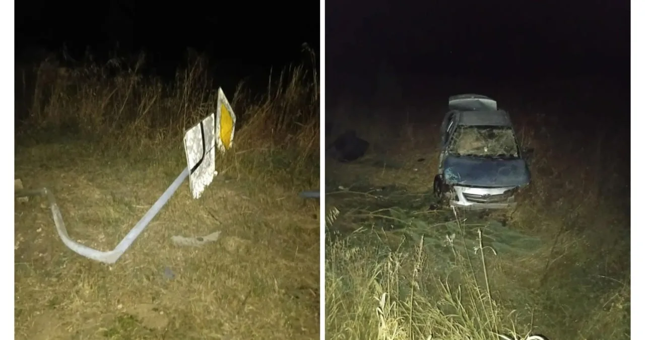 ⚡️Пьяный водитель в Мордовии снёс знак и опрокинул свою «Тойоту»