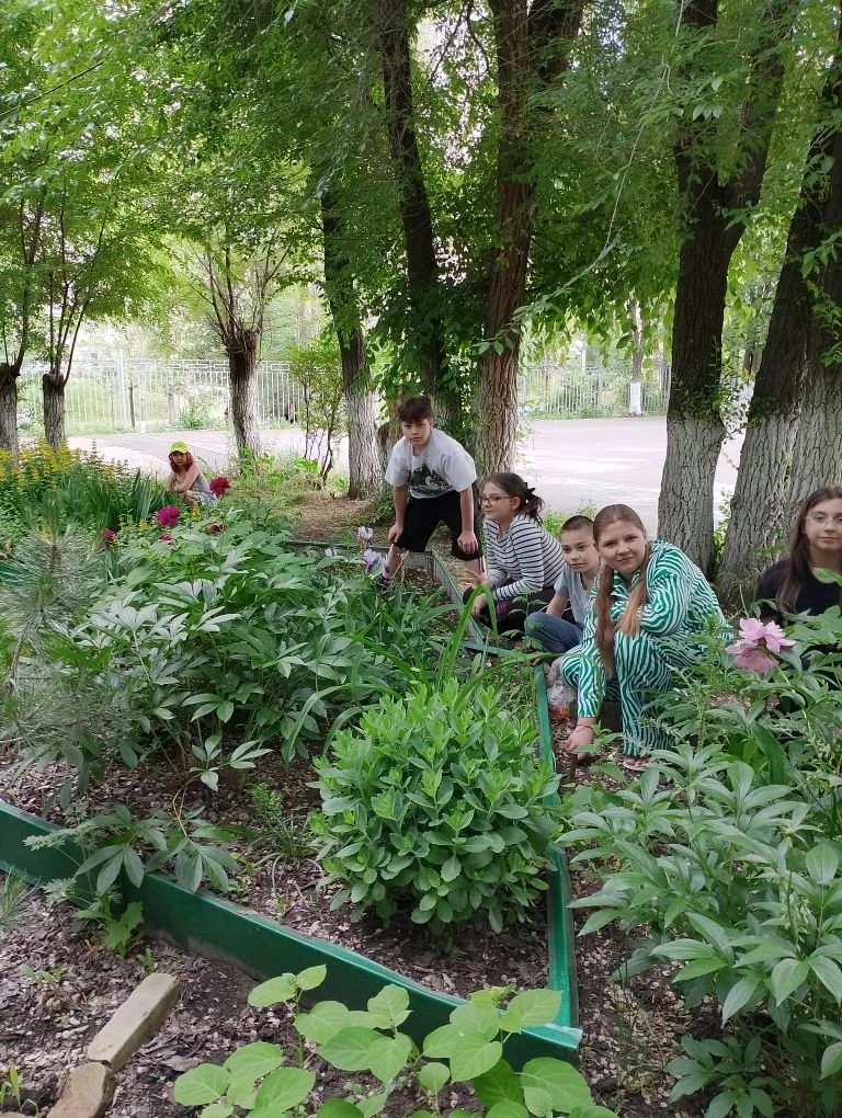 🌍🌿 Дорогие друзья!