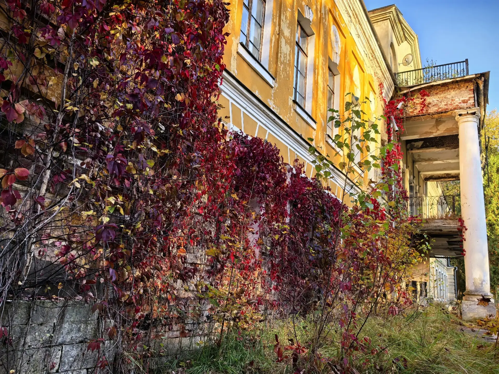 Осеннее Суханово🍂