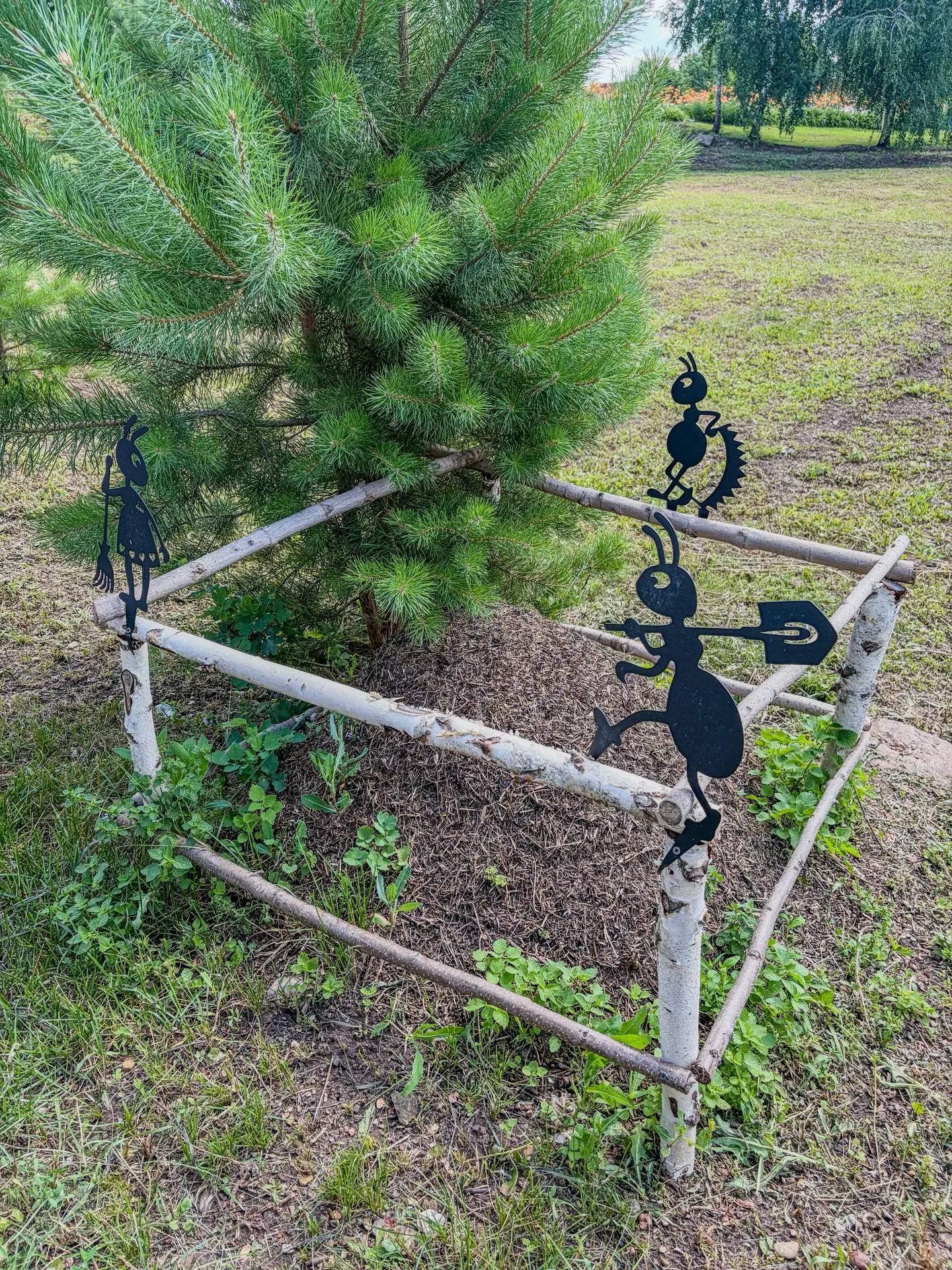 Муравьиная стража 🐜