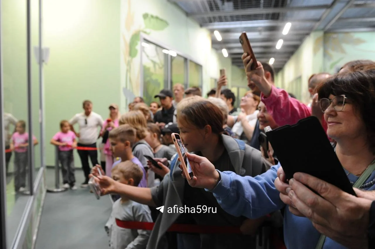 Пермский зоопарк решил сделать подарок школьникам в День знаний.