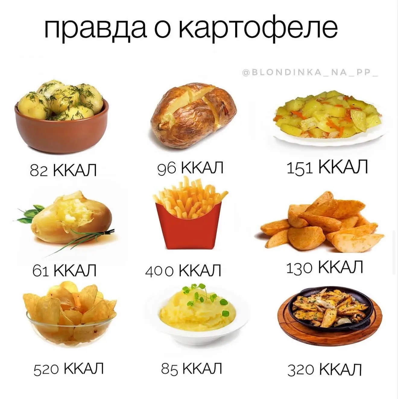 ПРАВДА О КАРТОФЕЛЕ