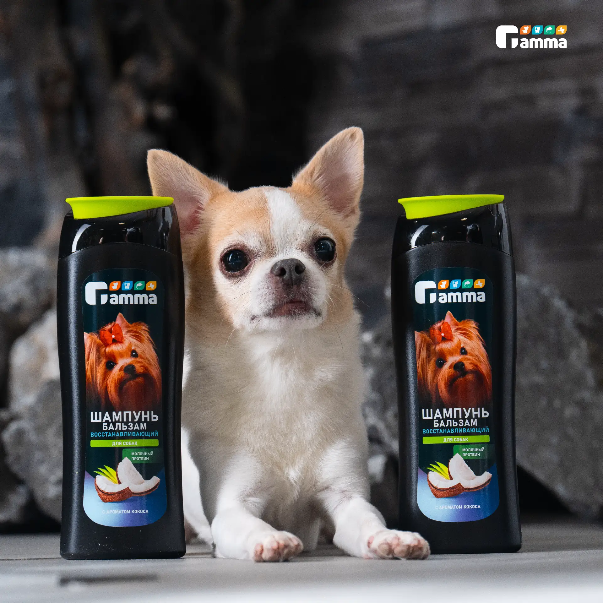 Горячую воду отключили, а пёс нашёл самую грязную лужу? 🙈 🚿

Знакомый летний кошмар: тазы, ковшики