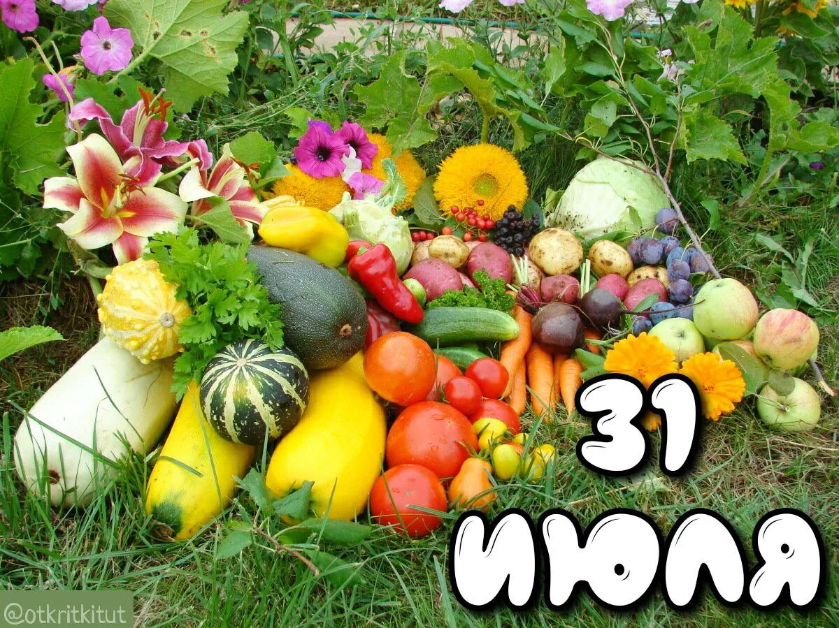 Праздники 31 июля 🎈