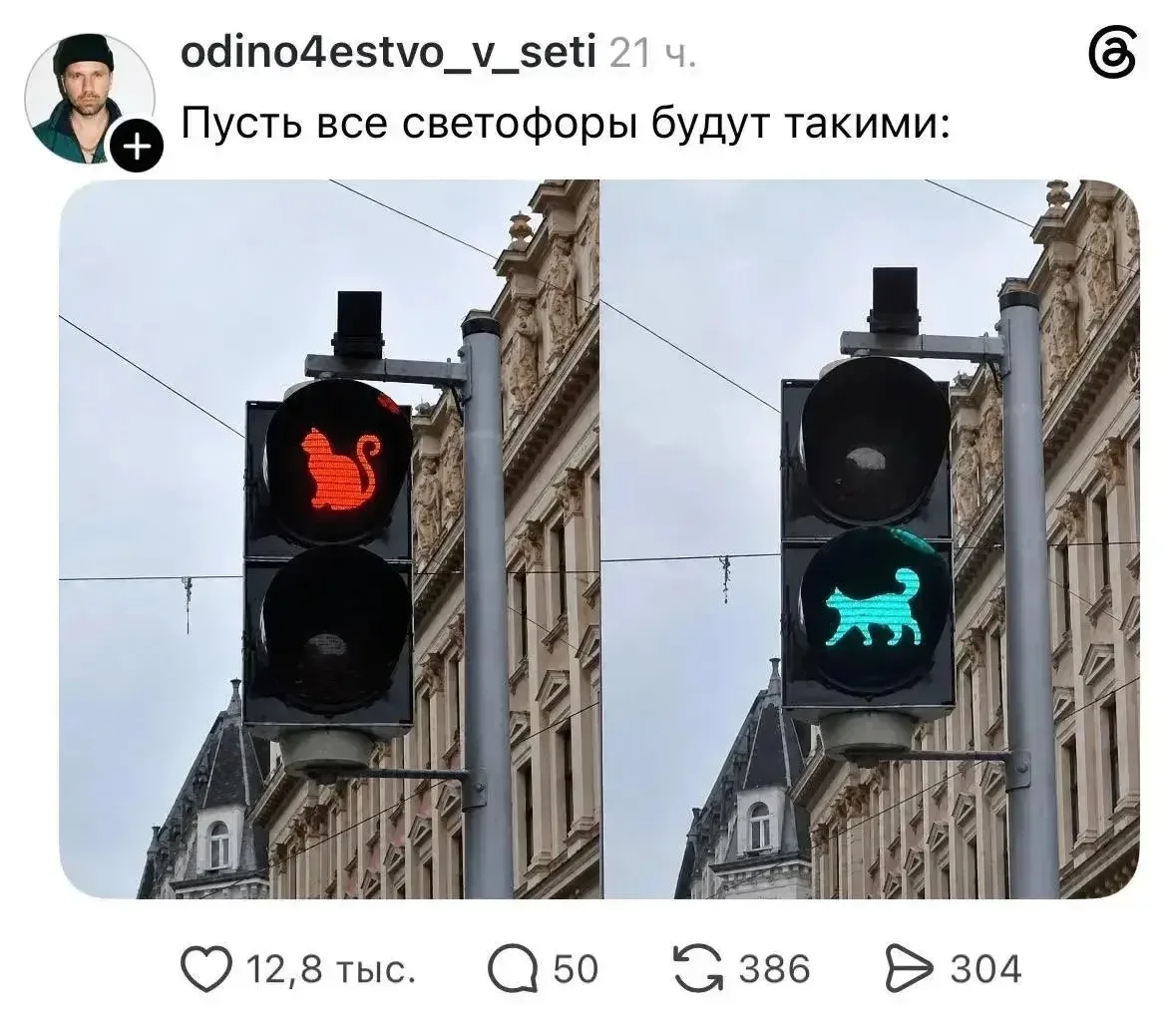 🐱 Светофоры с котятами появились в России
