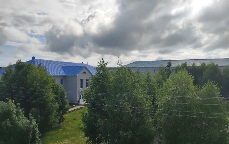 ✨Оперативная информация о работе ГБУЗ РБ Зилаирская ЦРБ🏥 Период отчётности: с 27 июня ...