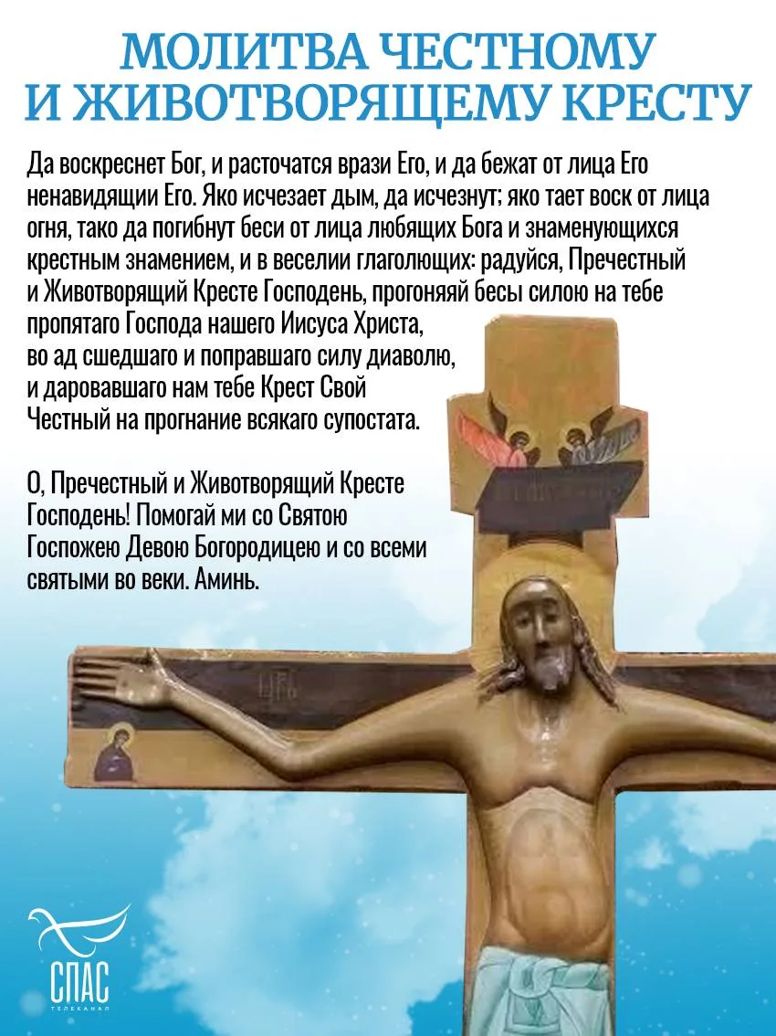 Изображение 1 к публикации «Телеканал СПАС»
