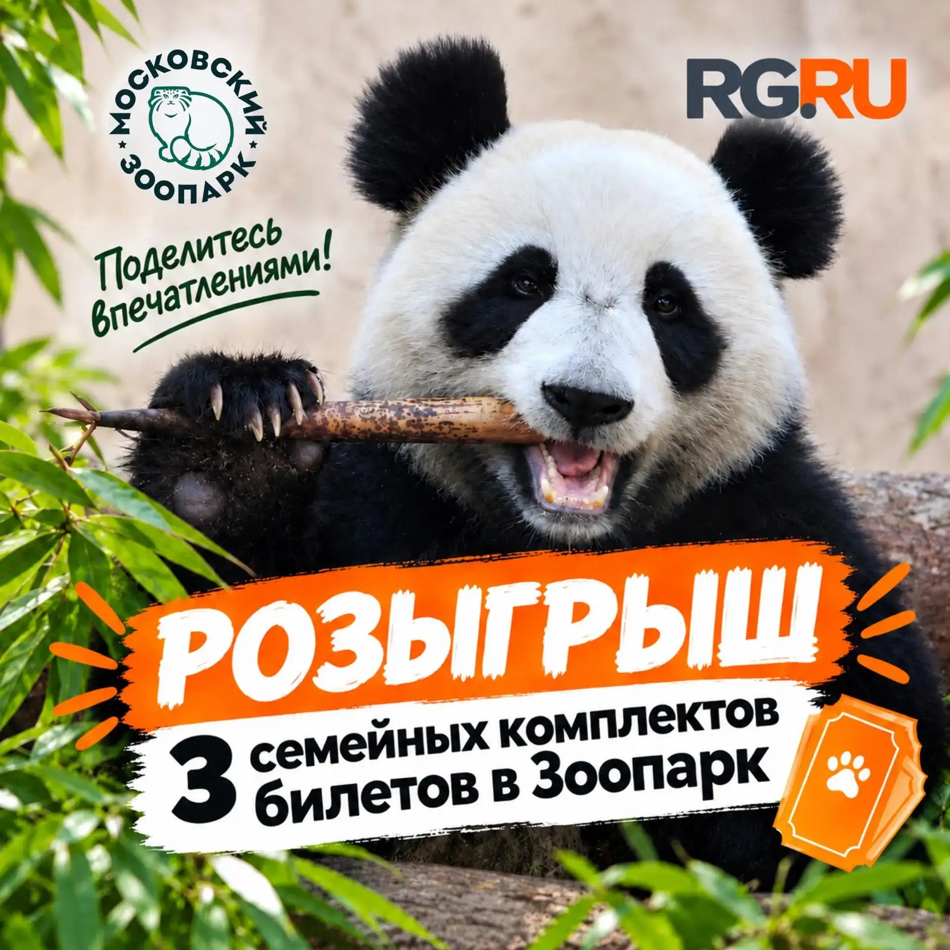 🎁 "Российская Газета" и "Московский Зоопарк" подарят трем подписчикам в MAX билеты на ...