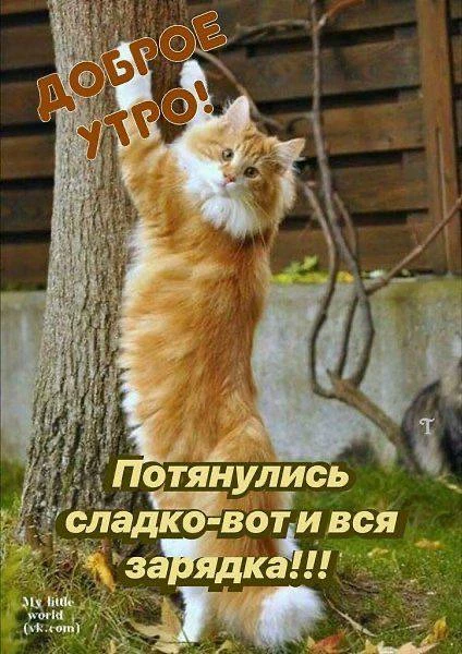 Мир открыток