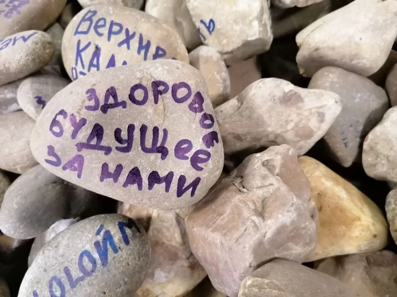 Дорогие друзья!