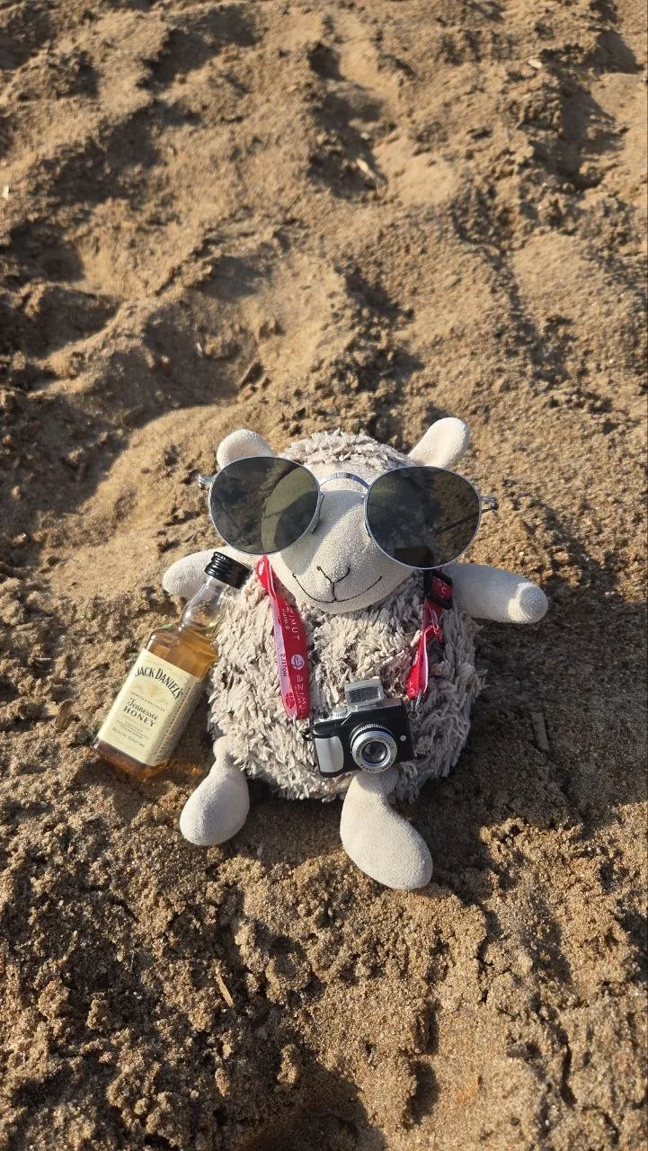 На сегодня потрясений, хоть и позитивных, достаточно. Идем к морю. Пора отдохнуть. 😎

#azimutРепино