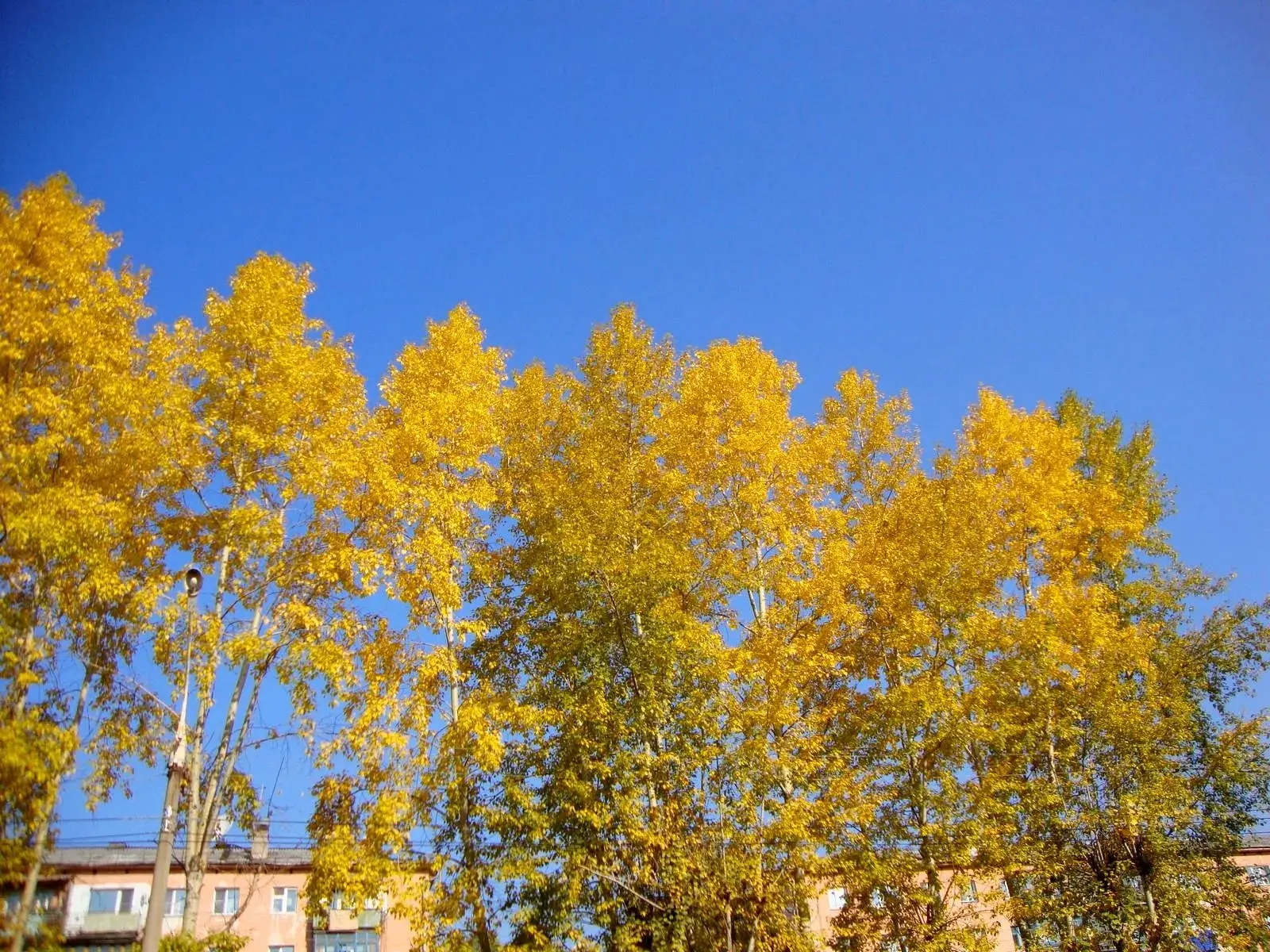 Ну вот и осень 🍂