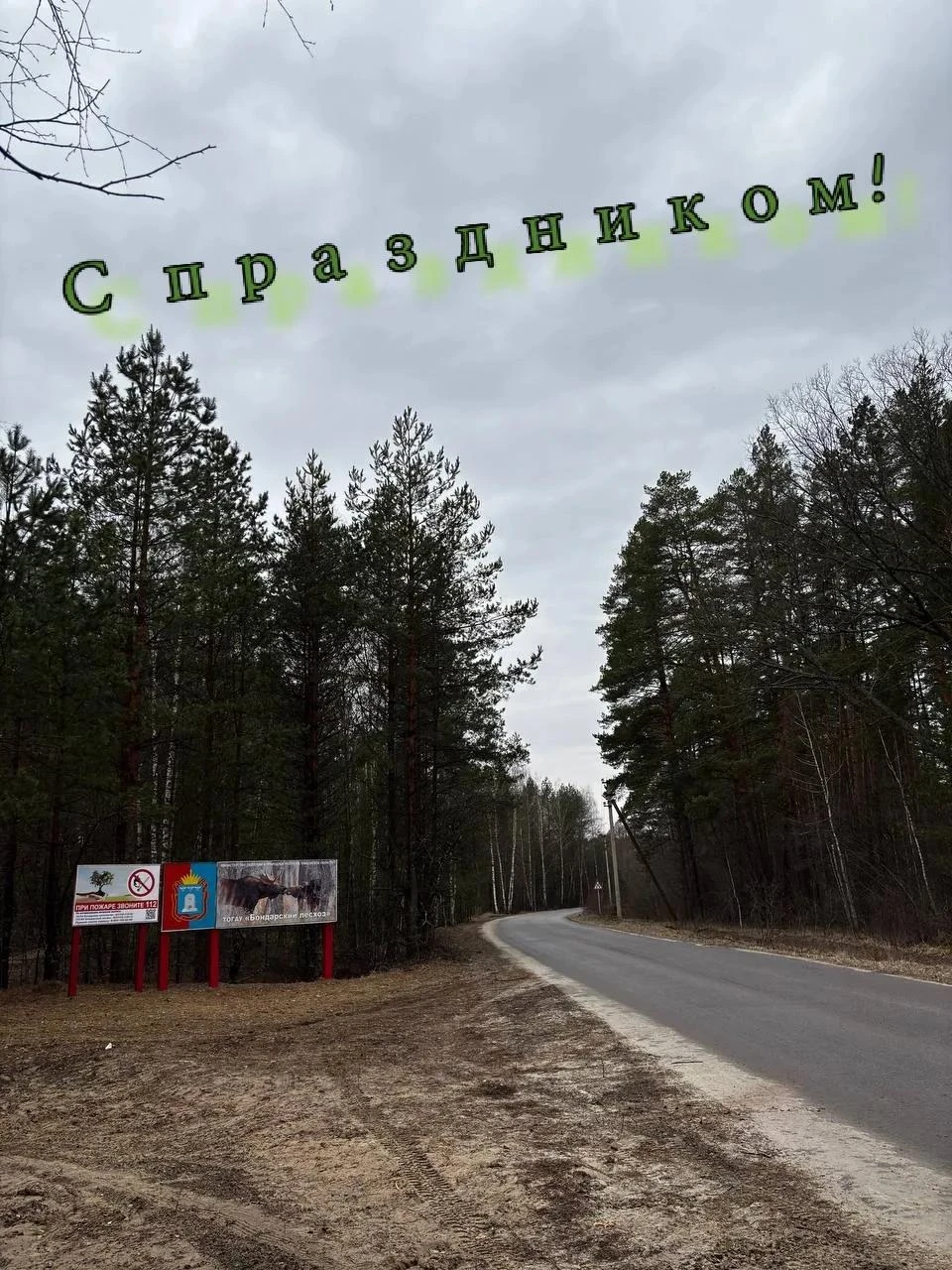 С Днём работников леса и лесоперерабатывающей промышленности, дорогие жители Бондарског...