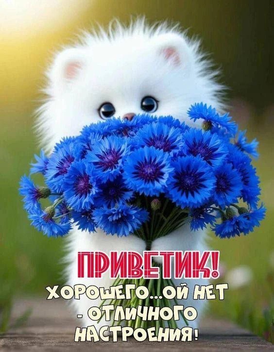 👋💖⭐️🎀🎉✨