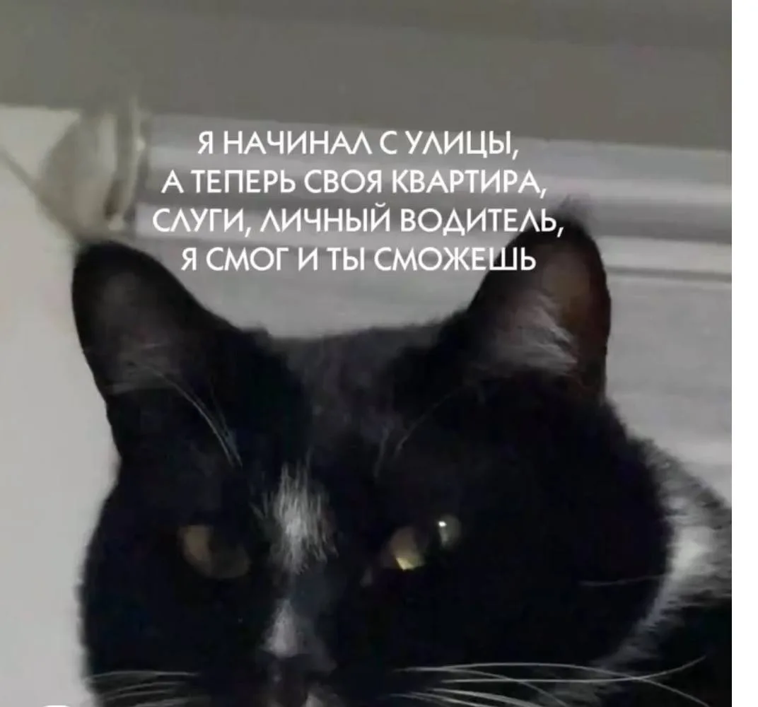 🌸 Женский Клуб — Подписаться