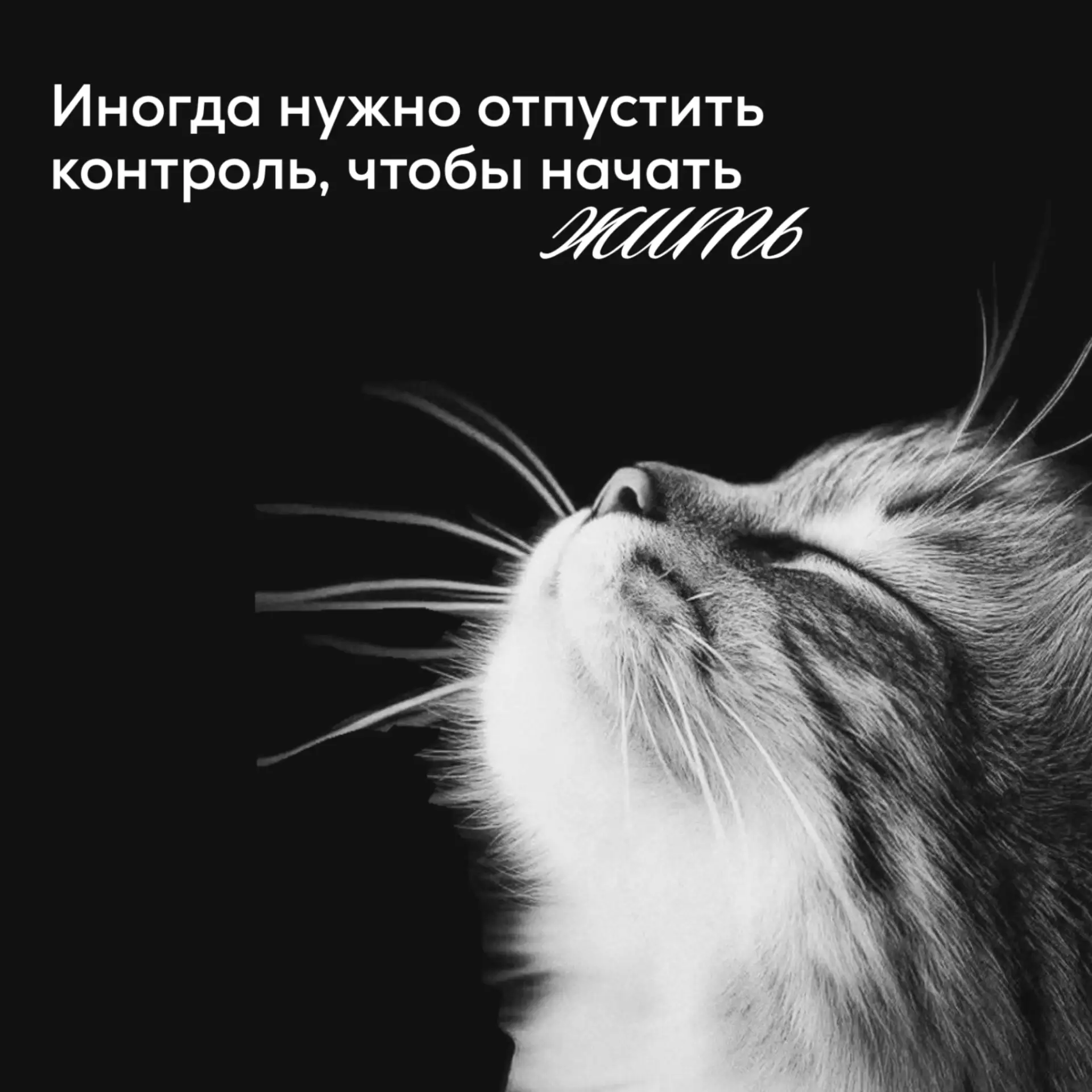 #мотивациядня