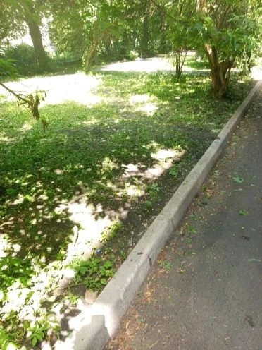 Уважаемые жители МКД 33 по ул Широкая, провели второй покос во дворе ващего дома