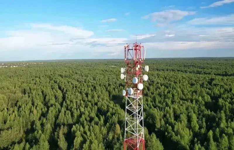 Незаконная рубка леса обнаружена с помощью современных технологий
 
✅ Для усиления контроля на терри