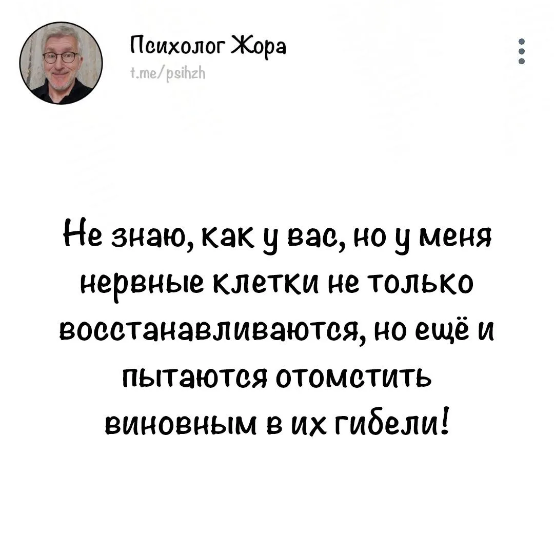 #юмор_жоры