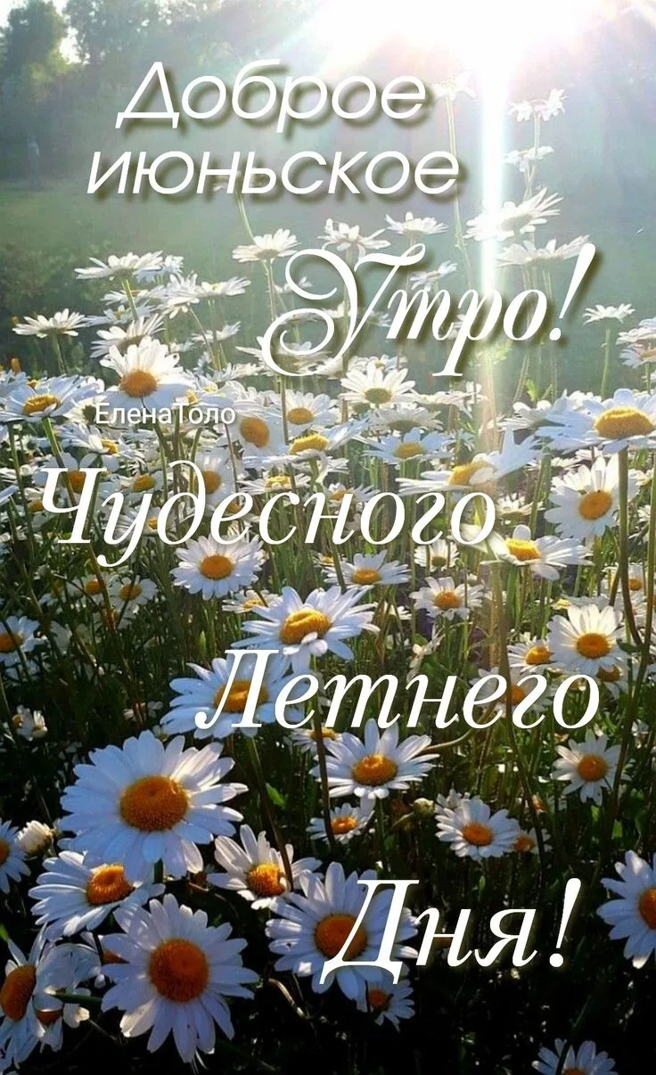 💰 Текущий баланс на карте 7324,60₽

✅ 1007,55 бонусов 
" СберСпасибо "🌸

Все средства пойдут на по