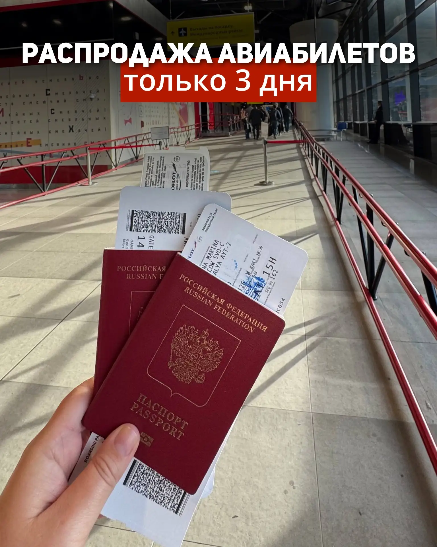 🔥 РАСПРОДАЖА, КОТОРАЯ ДЛИТСЯ ВСЕГО 3 ДНЯ  S7 открыли распродажу — и сейчас реально можно улететь деш