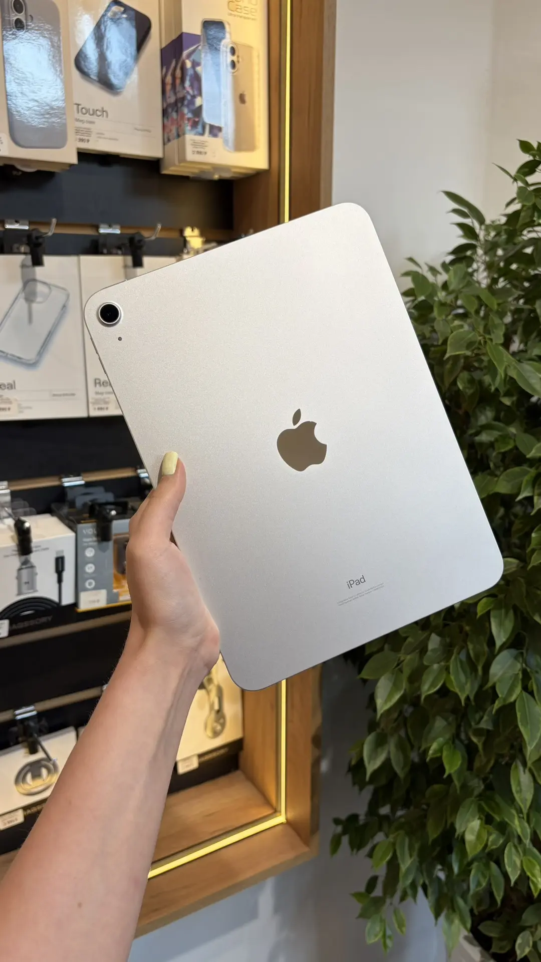 Подержанный iPad (10-го поколения) 10.9" Wi-Fi 64GB Starlight 

🏷️ 18 990₽
Емкость АКБ 🔋90%
Компле