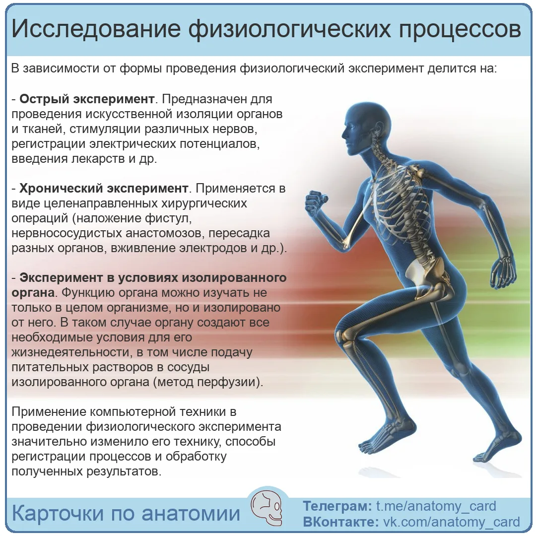 Исследование физиологических процессов