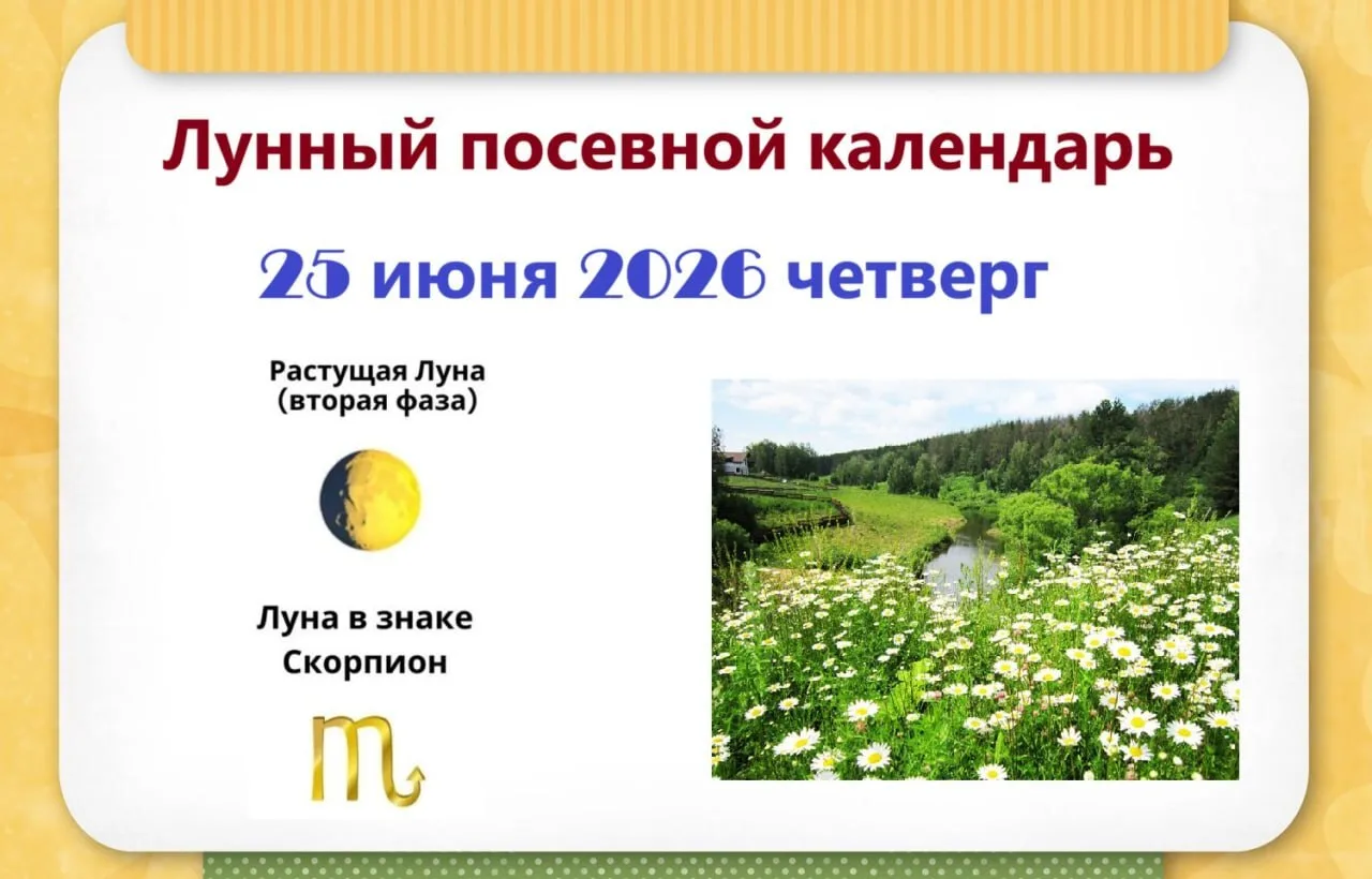 2️⃣5️⃣ июня, четверг