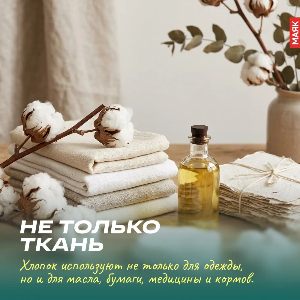 Сегодня, 7 октября, Всемирный день хлопка. Это удивительное растение подарило миру один...