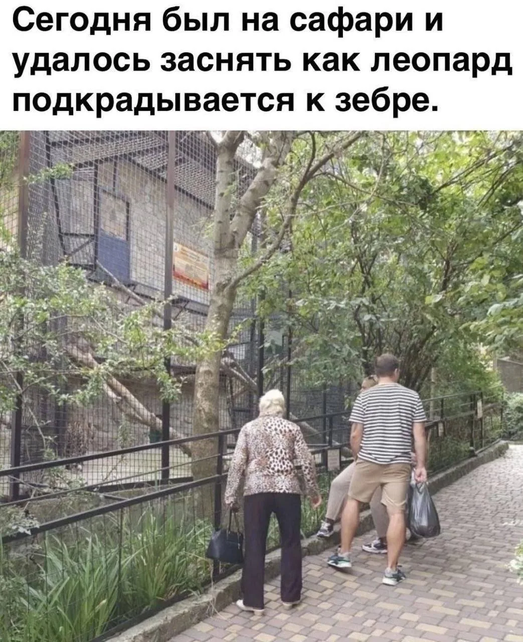 И ездить никуда не надо😅