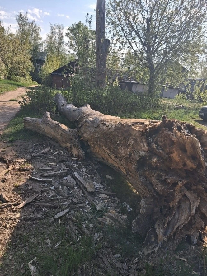 🚨 Первомайские заброшки: новая точка напряжённости или забытая проблема города?    Жилой фонд, пер