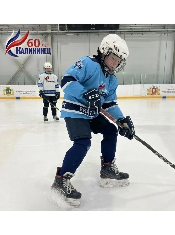 Как правильно тормозить на льду ❄️🏒