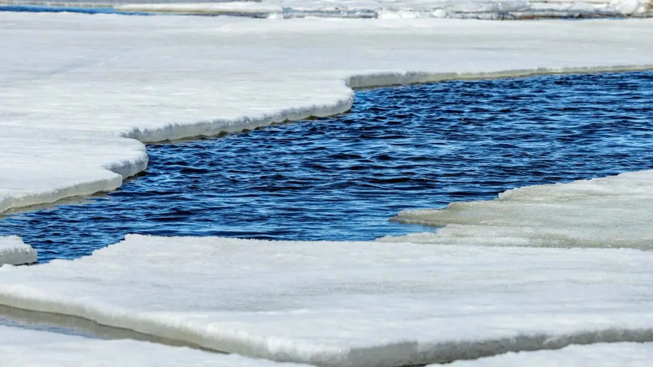 🌊 Пяку-Пур освобождается ото льда  На реке Пяку-Пур у городской набережной в Тарко-Сале прошёл ледох