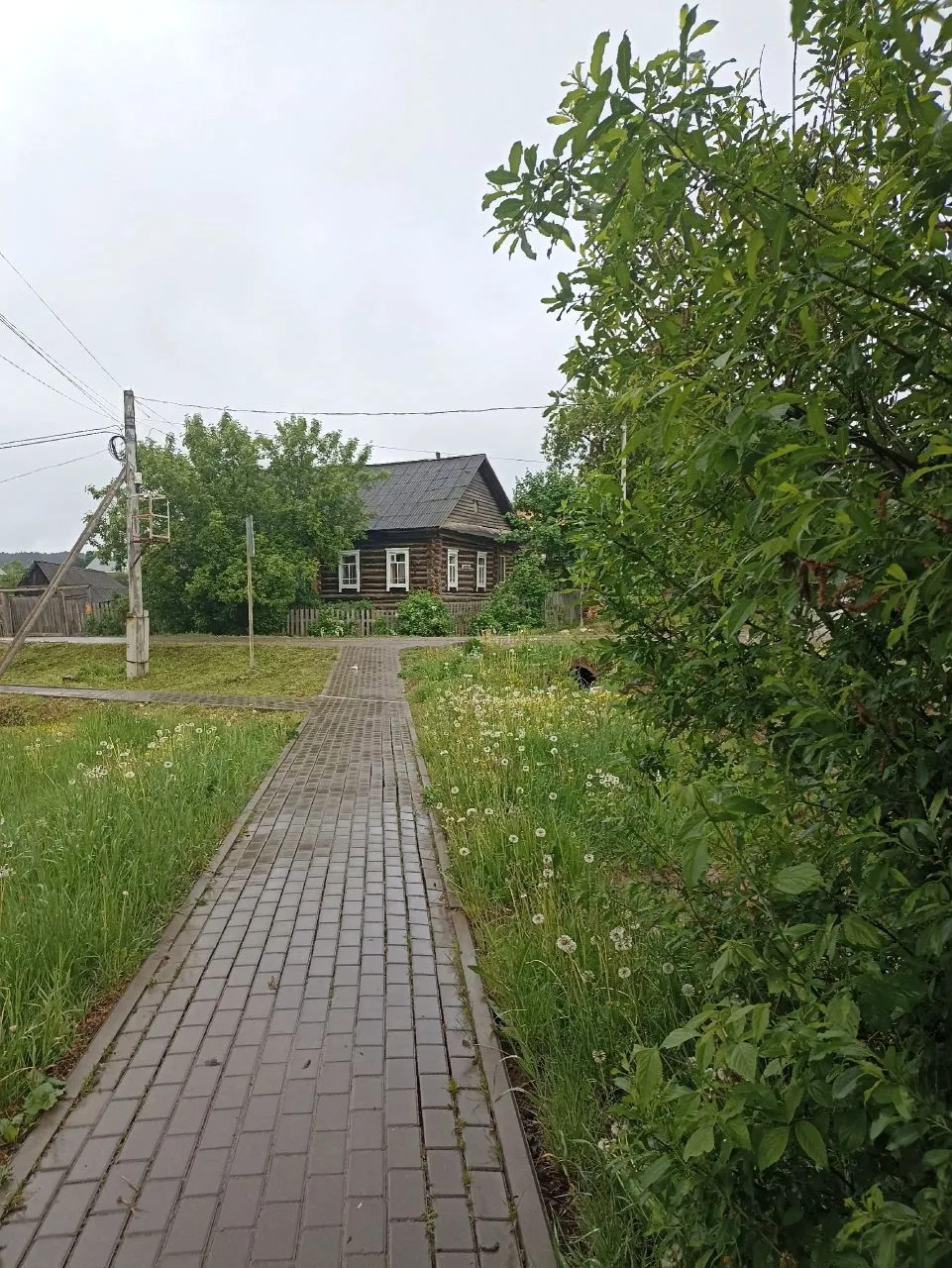 Красота!