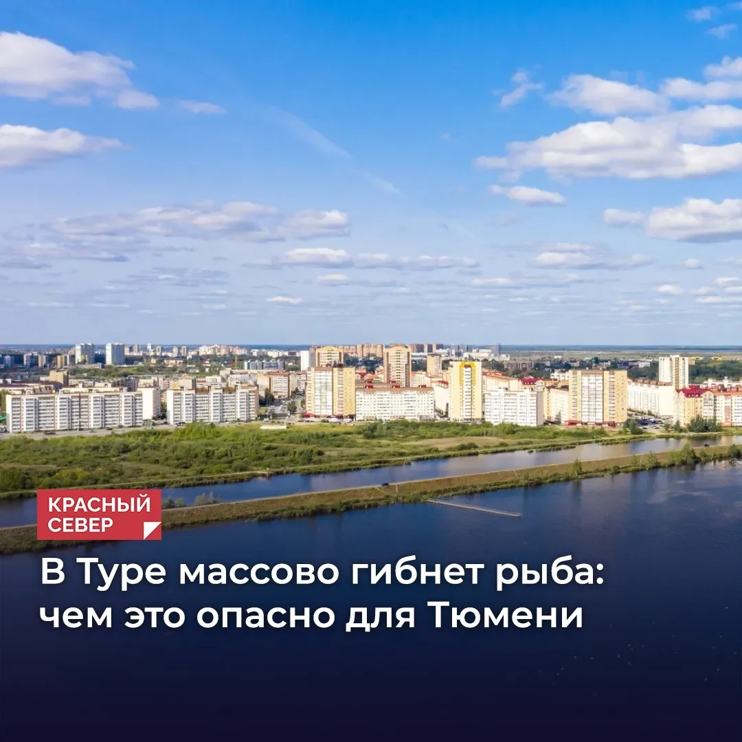 🚱 В Тюменской области в реке Туре зафиксировали массовую гибель рыбы. Причина — резкое...