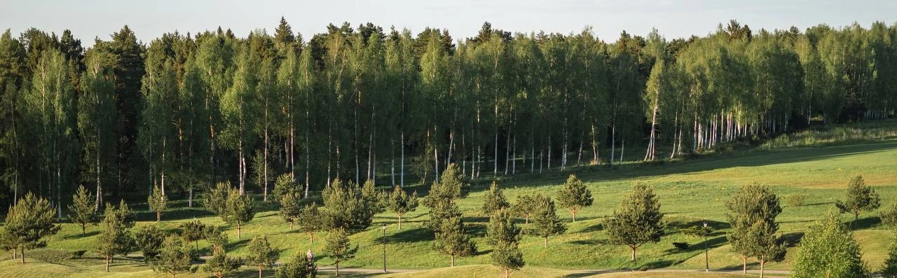 #МоментыНедели в Radisson Завидово 🌳