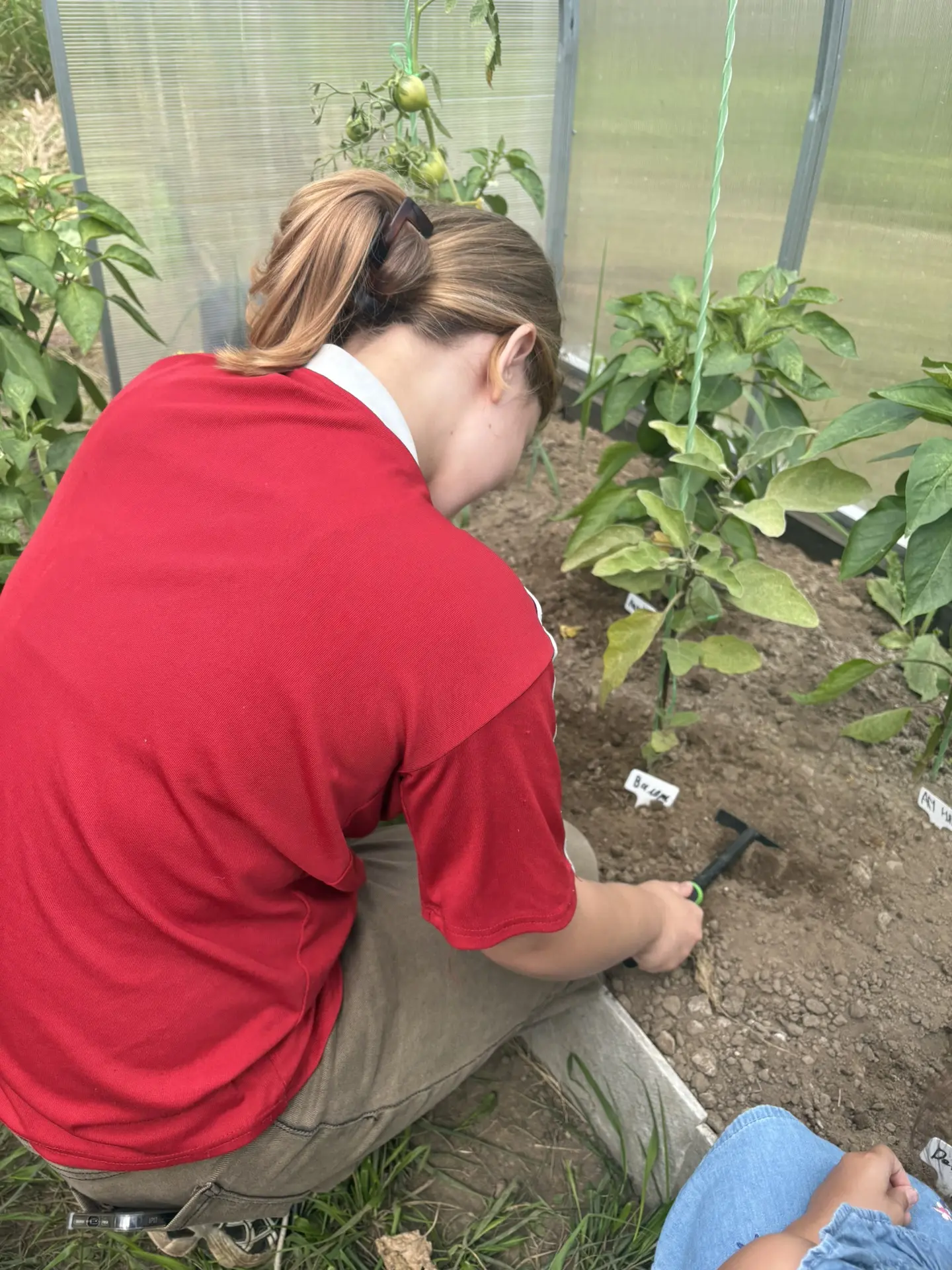 🌱Агрокласс🌱