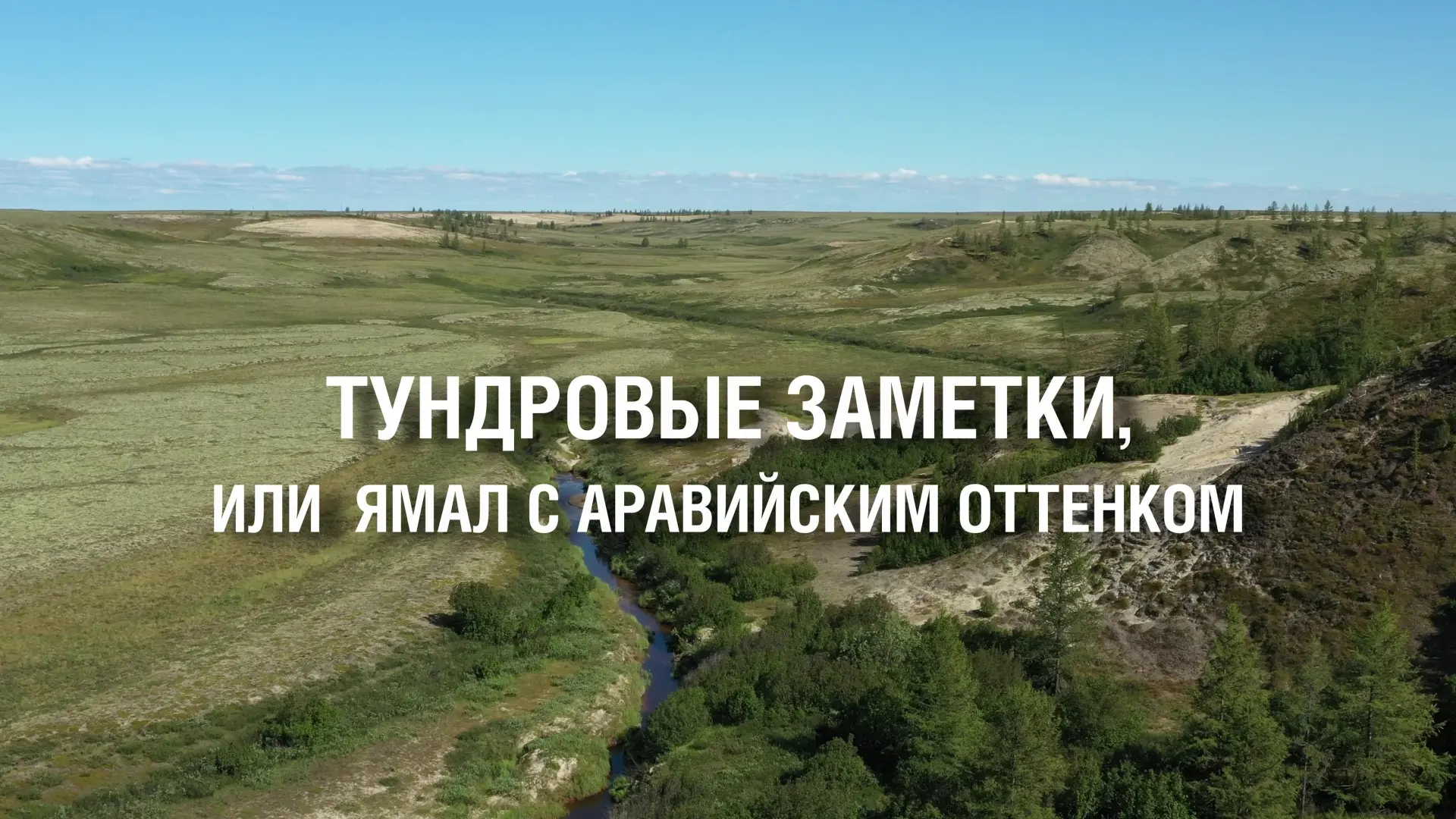 #гдя_видео