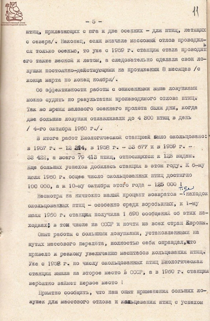Изображение 5 к публикации «Эй, Калининград»