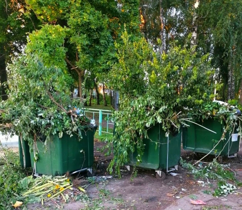 🌿Ветки — не мусор, точнее, не ТКО ⚠