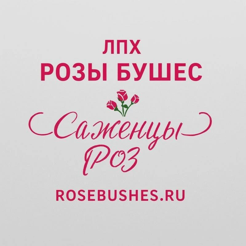 ВНИМАНИЕ! Розыгрыш!💥💥💥