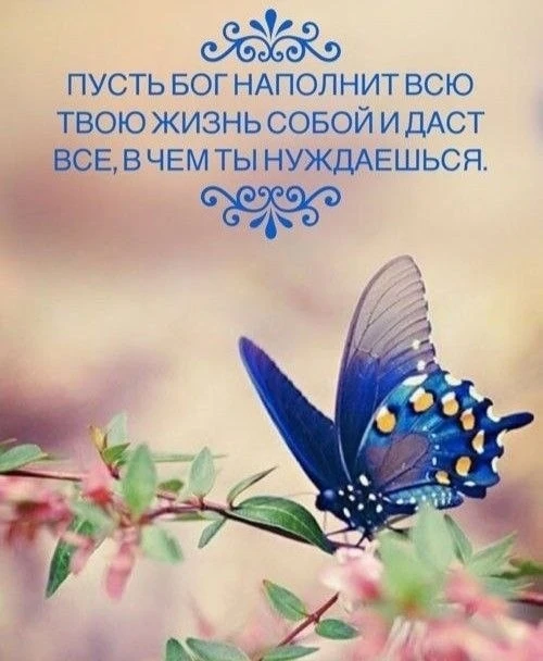 Открытки: подписаться ❤️