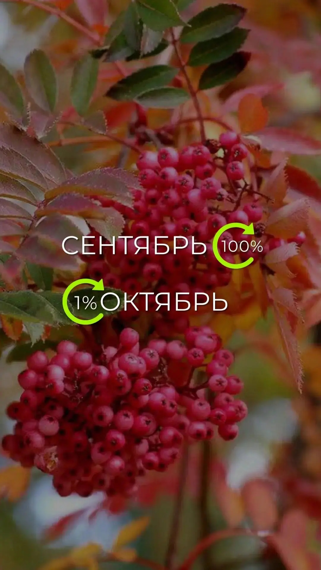 Доброе утро ☕🫖