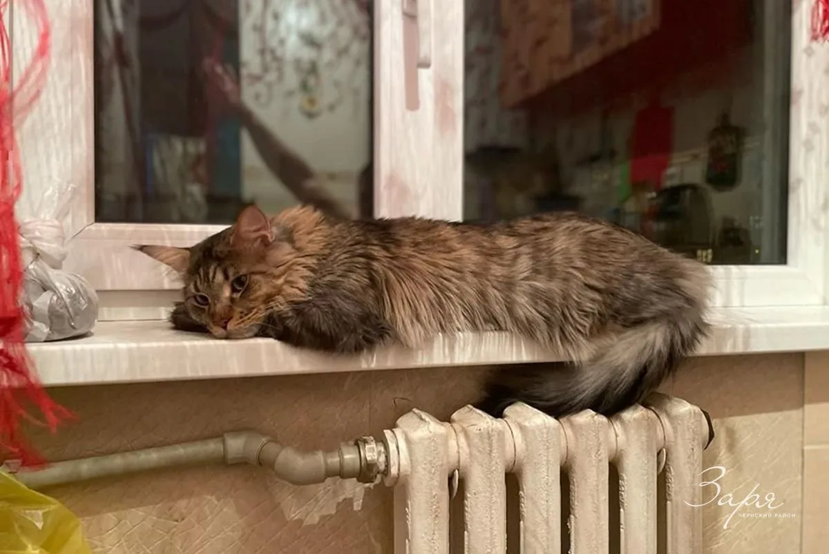 🏠 В регионе завершается запуск тепла в жилых домах​