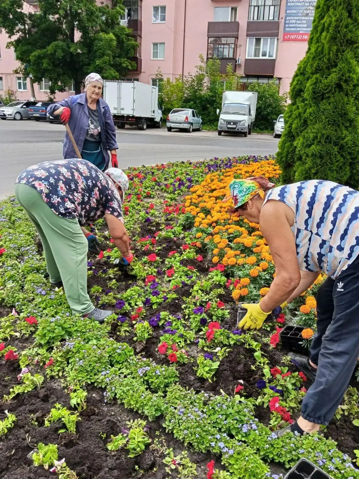 🌳✨Лето в нашем городе — это настоящая симфония красок и ароматов! 🌳✨
Посмотрите вокруг: улицы утоп