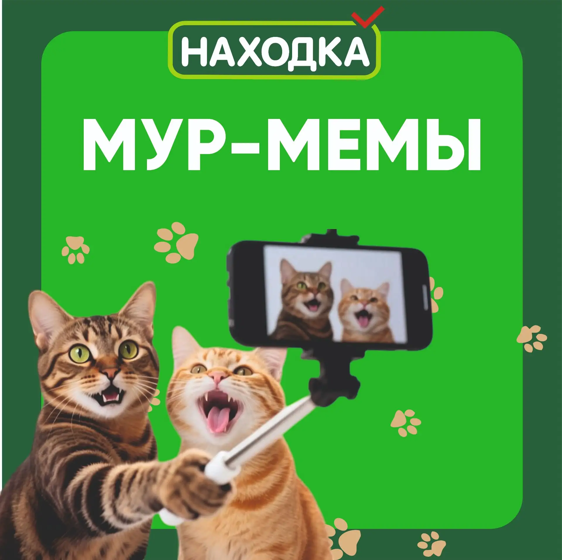 Счастливый кот начинается с любимого корма 🐱💚

Каждое мурлыканье, довольный взгляд и радостная вст